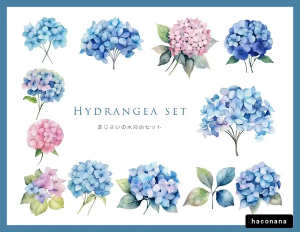 あじさいの水彩画セット