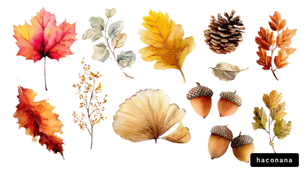 秋の自然の彩り