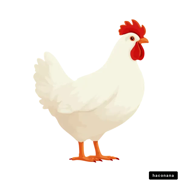 可愛い鶏のイラスト