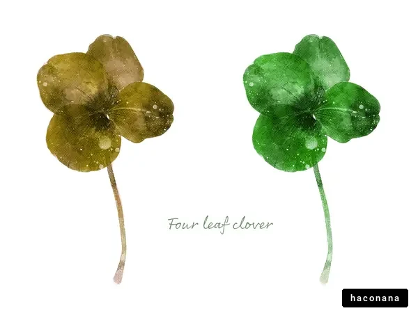 四つ葉のクローバー