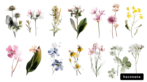 さまざまな花のイラスト