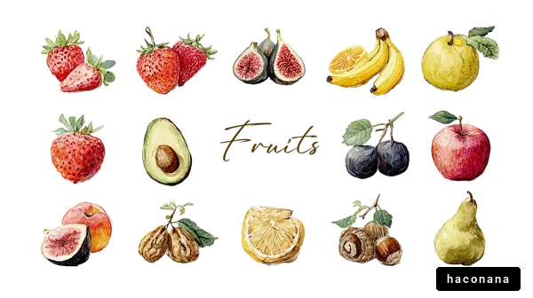 色とりどりの果物