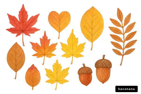 秋の葉っぱとどんぐり