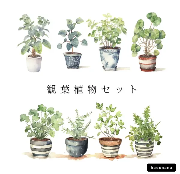 観葉植物の美しいセット