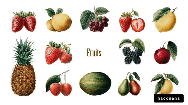 多種多様な果物のイラスト