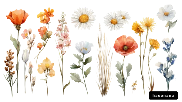 色とりどりの花々のコレクション