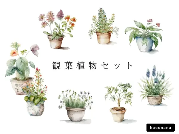観葉植物の水彩画イラストセット