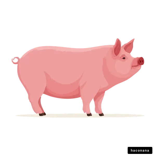 可愛い豚のイラスト