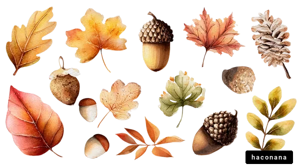 秋の自然素材のイラスト