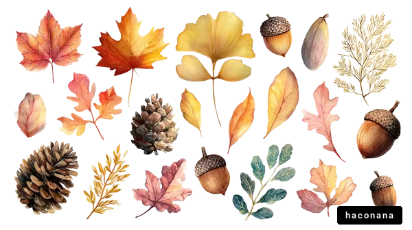 秋の自然の彩り