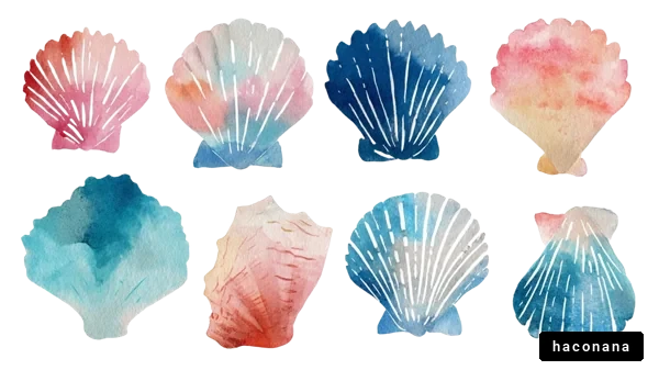 水彩シェルのデザイン
