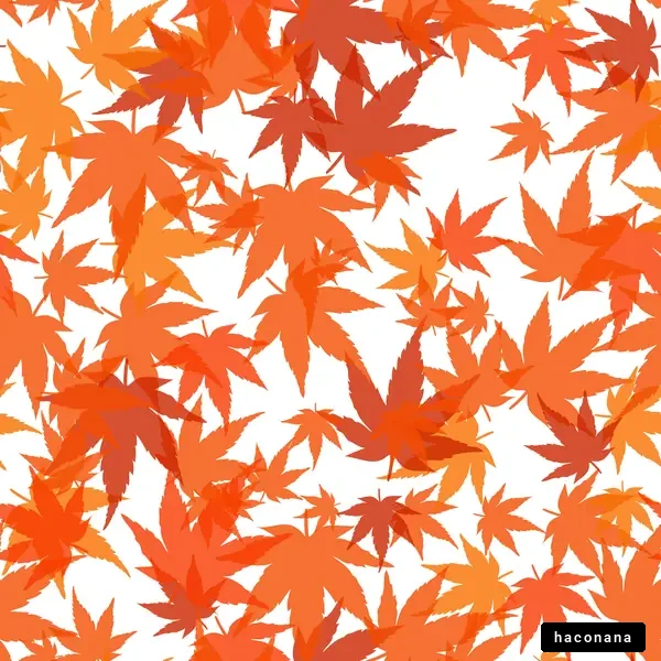 カラフルな秋の葉っぱ