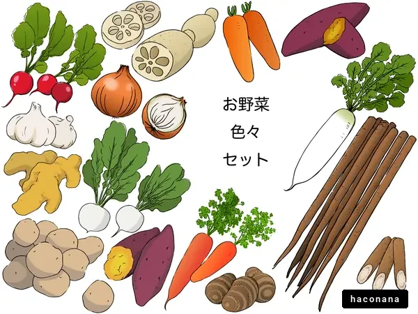 色とりどりの野菜セット
