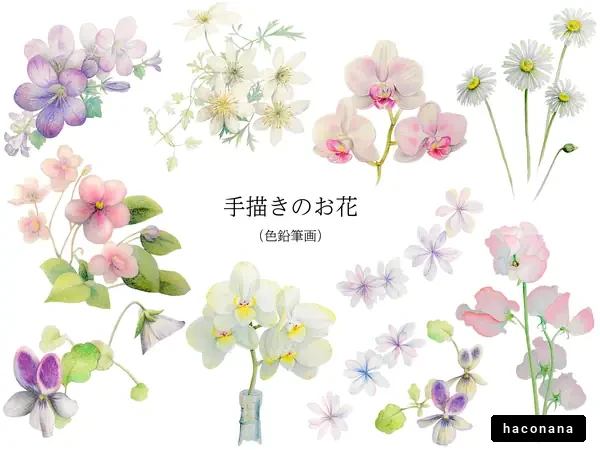 手描きの花々