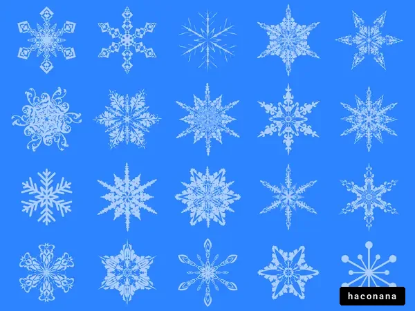 美しい雪の結晶コレクション