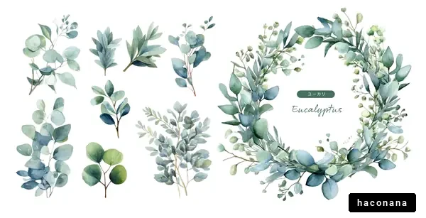 ユーカリの水彩画イラスト集