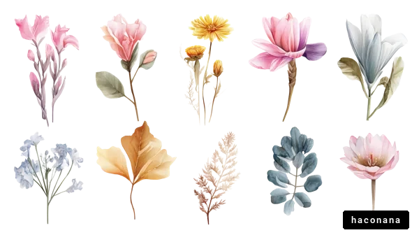 美しい花のイラスト集