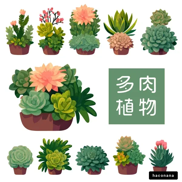 可愛い多肉植物のイラスト
