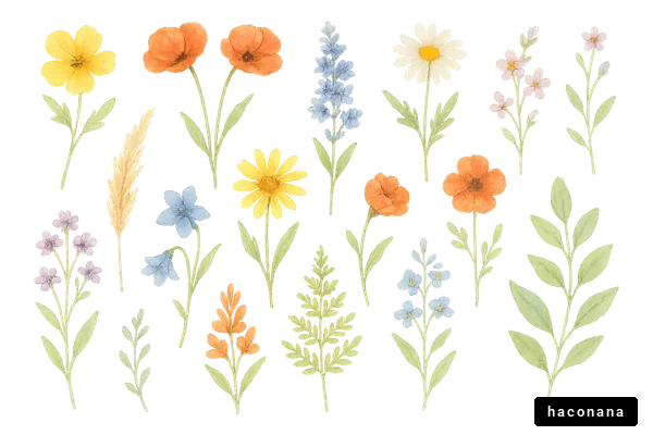 美しい花々のセット