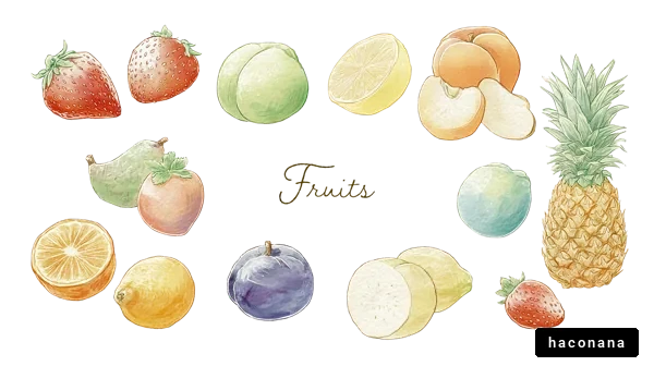 果物のイラスト