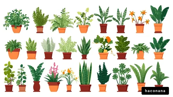 多様な観葉植物のコレクション