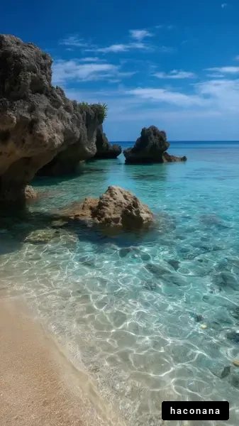 美しい海の風景