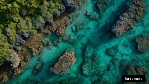 美しい海と岩の風景