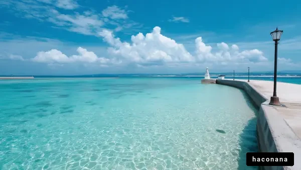 美しい青い海と空の景色