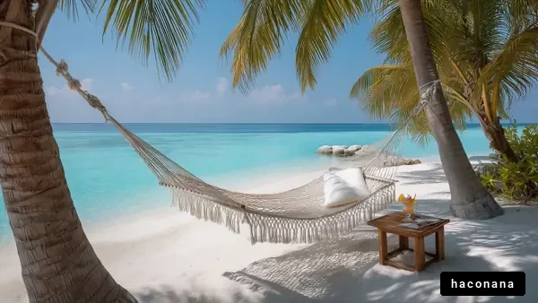 リラックスできるビーチの風景