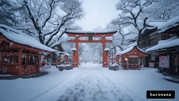 雪と鳥居の幻想的風景