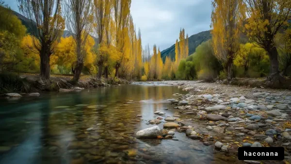 秋の河川と黄葉の風景