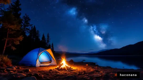 星空の下でのキャンプ