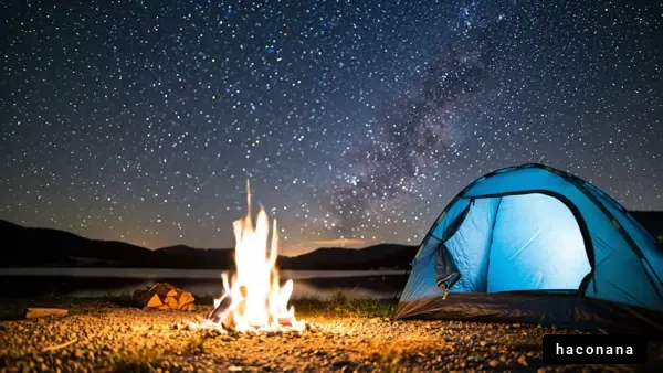 星空の下でキャンプ