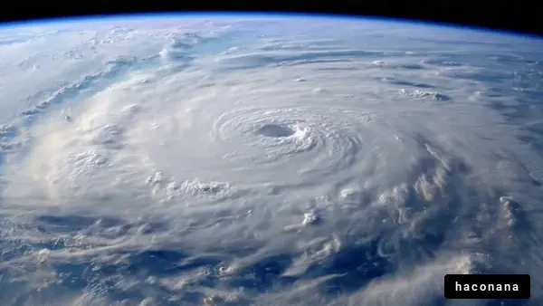 宇宙から見た台風