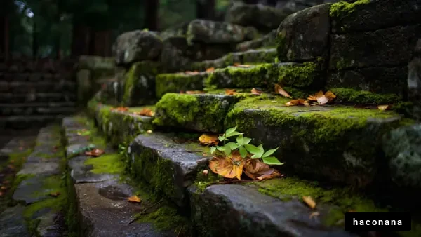 苔むした階段の風景