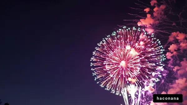 鮮やかな花火の夜空