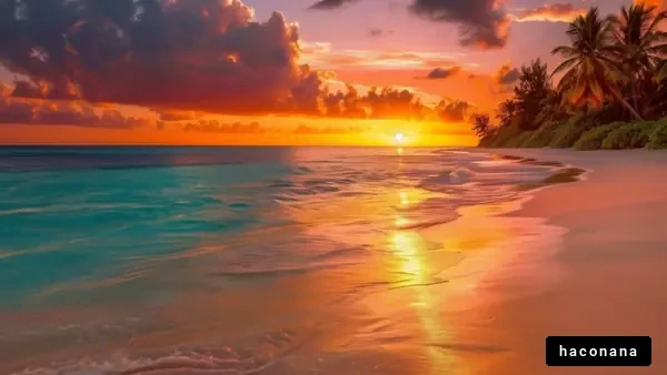 美しい海の夕日