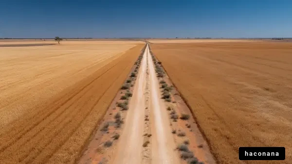 広がる農作物の風景