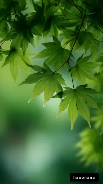 青々とした葉の背景