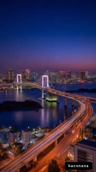 夜景の美しい橋と街