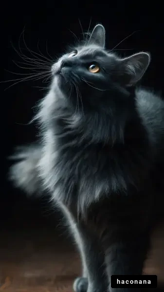 神秘的な猫のポートレート