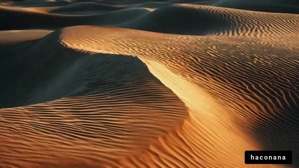 美しい砂丘の風景