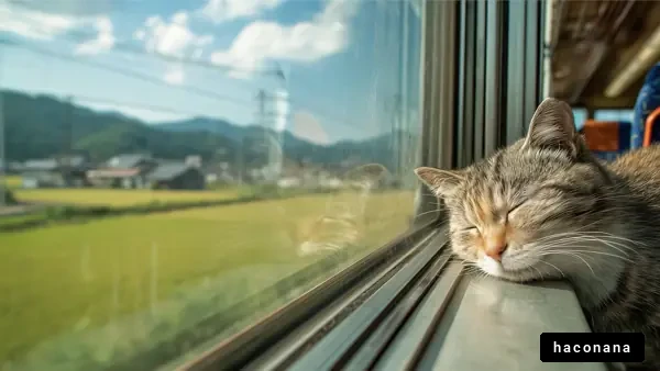 電車の窓際で寝る猫
