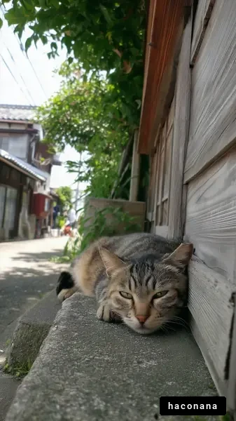 街角でくつろぐ猫