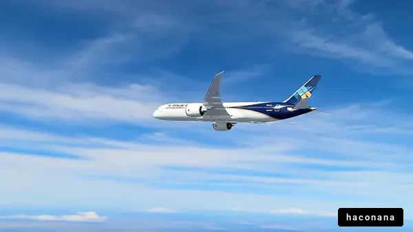 空を飛ぶ飛行機の景色