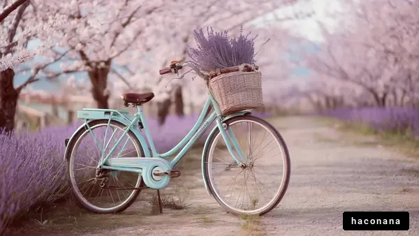 桜並木と自転車