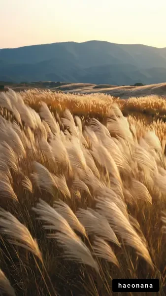 黄金色の穂が揺れる風景