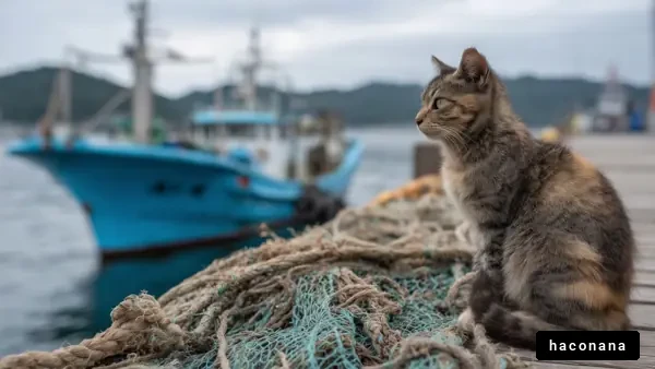 港でくつろぐ猫