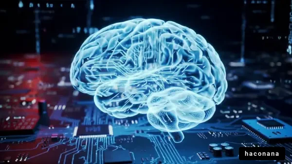 未来的な脳のイメージ