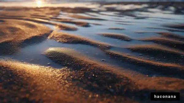 夕日の波打ち際